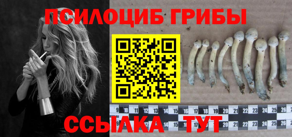 Галлюциногенные грибы мицелий  Вход с VPN  сколько стоит  Обнинск 